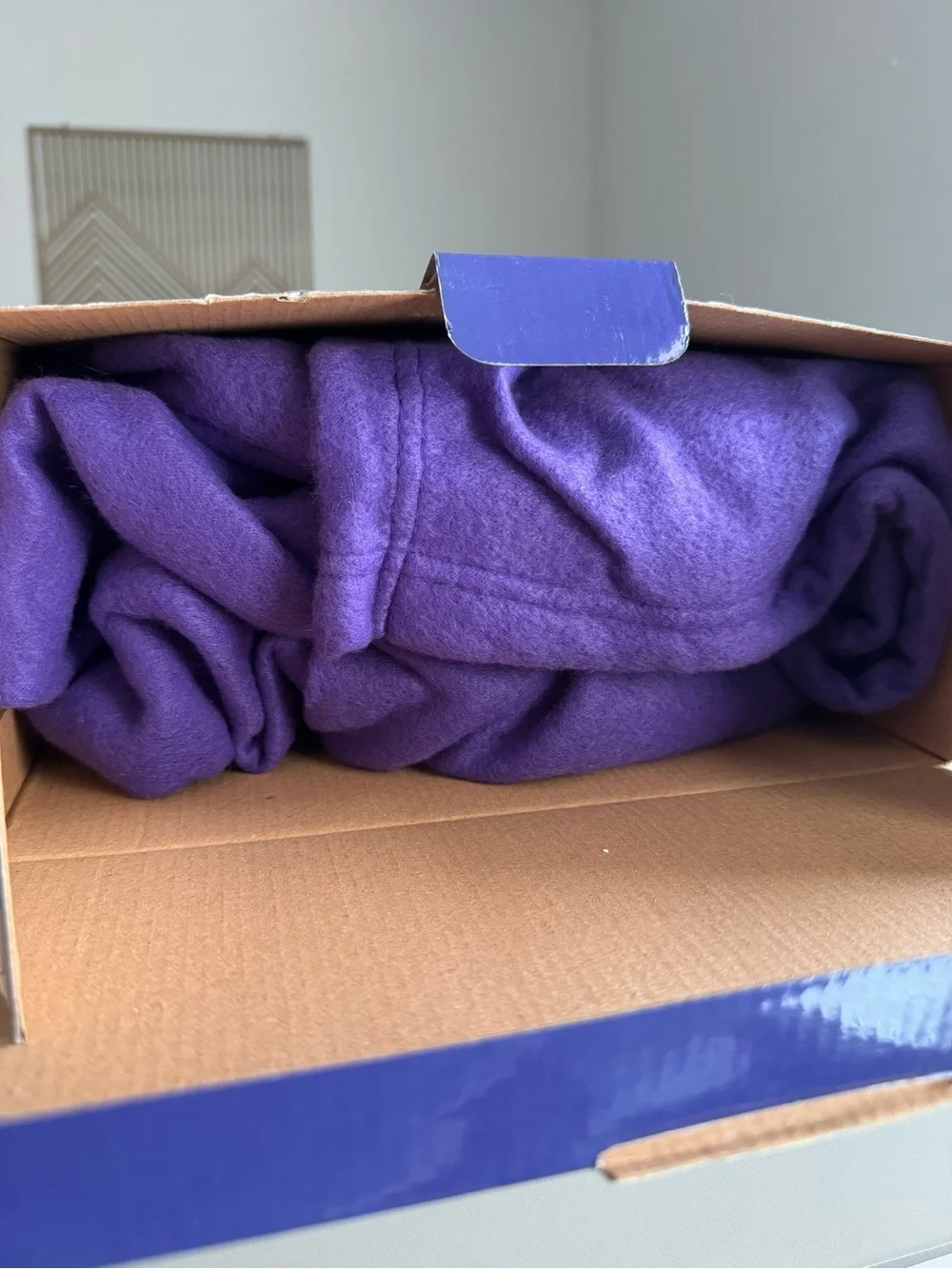 Snuggie Blanket with Sleeves - Purple